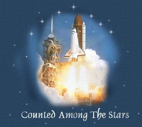 Counted Among the Stars... A Poem In Memoriam of the crew of US Space
Shuttle Columbia and mission STS-107.