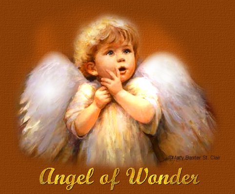Angel of Wonder...inspirational poem by Francine Pucillo