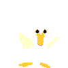 An excited duck