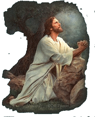 Jesus prays in the garden of Gethsemane