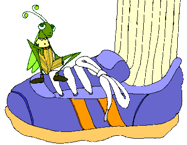 A grasshopper on a really BIG shoe