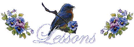 Lessons From A Bluebird.