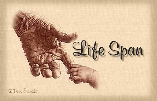 Life Span...artistic work of Tom Sierak.  Beautiful picture of two hands...one young, one old.