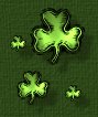 The clover's nice, but I want one with four leaves!!!