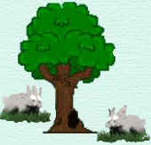 The Cottontails home in the hollow of a tree.
