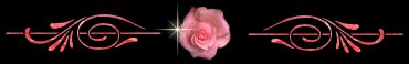 Wrens World pink rose divider bar