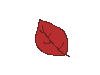 a falling leaf