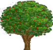 Wren's World image of tree..umm,wonder if that's forbidden fruit?