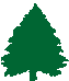 little fir tree icon