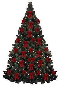 The perfect Christmas Tree